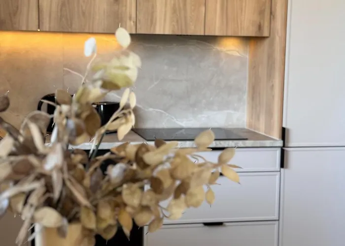 Apartment Family & Business Premium No 3 - 2 Bedroom With Private Jacuzzi, Balcony, Parking *