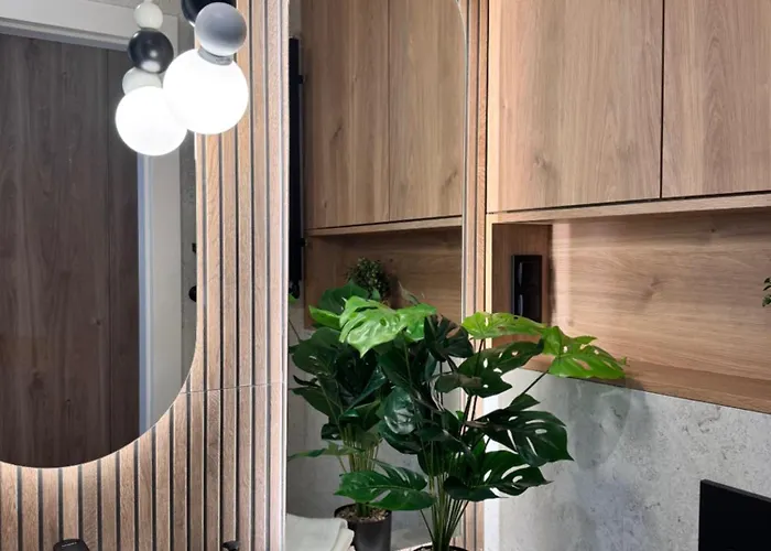 Family & Business Premium No 3 - 2 Bedroom With Private Jacuzzi, Balcony, Parking Apartment